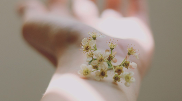 化粧道具の写真